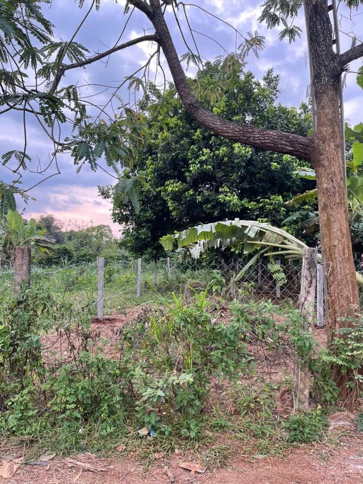 Đất nền Hòa Khánh Buôn Ma Thuột 260m² giá 1.15 tỷ - Đầu tư sinh lời ngay!