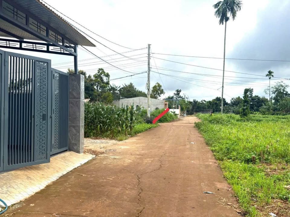 Đất nền Tân An, Buôn Ma Thuột 100m² giá 1.19 tỷ - Đầu tư sinh lời ngay!