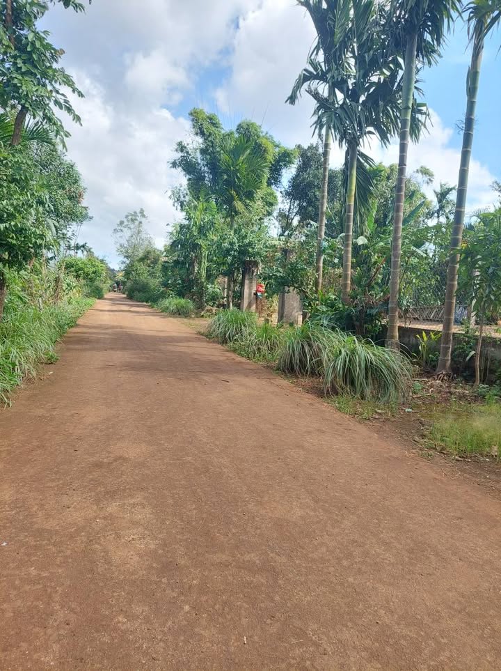 Đất nền chính chủ tại xã Ea Ktur, Đắk Lắk 856m² giá 900 triệu - Cơ hội đầu tư tuyệt vời!