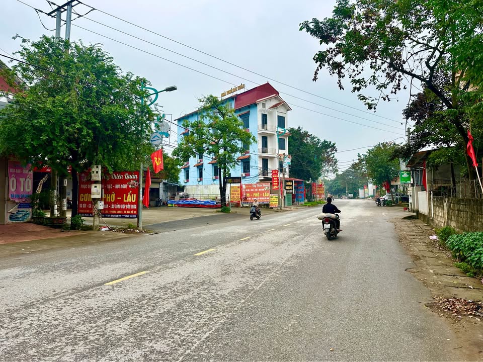 Đất nền mặt đường 302, Tam Dương, Vĩnh Phúc 117m² - Kinh doanh sầm uất!