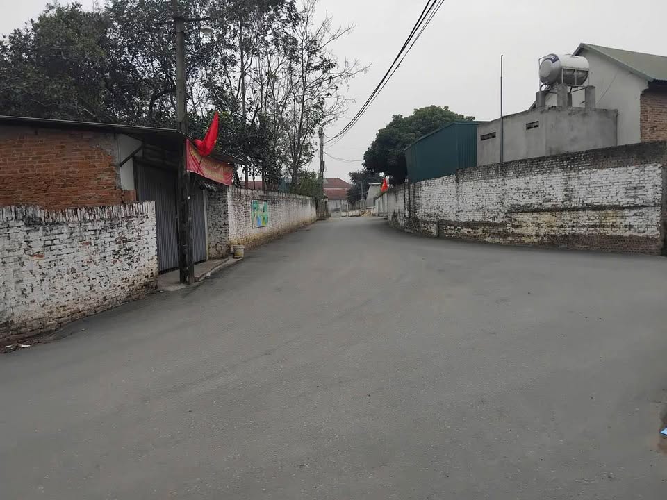 Đất Đạo Tú, Tam Dương 100m² giá 1.2 tỷ - Chính chủ bán gấp!