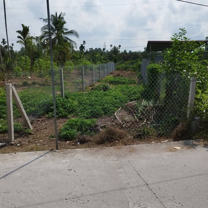 Đất nền Nhơn Ái Phong Điền 157m² giá chỉ 590 triệu - Cơ hội đầu tư tuyệt vời!