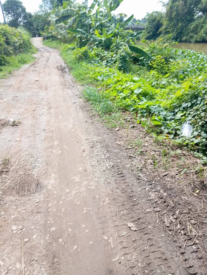 Đất nông nghiệp 80.000m² Tân Phú Đông giá 3 tỷ - Đầu tư sinh lời ngay!