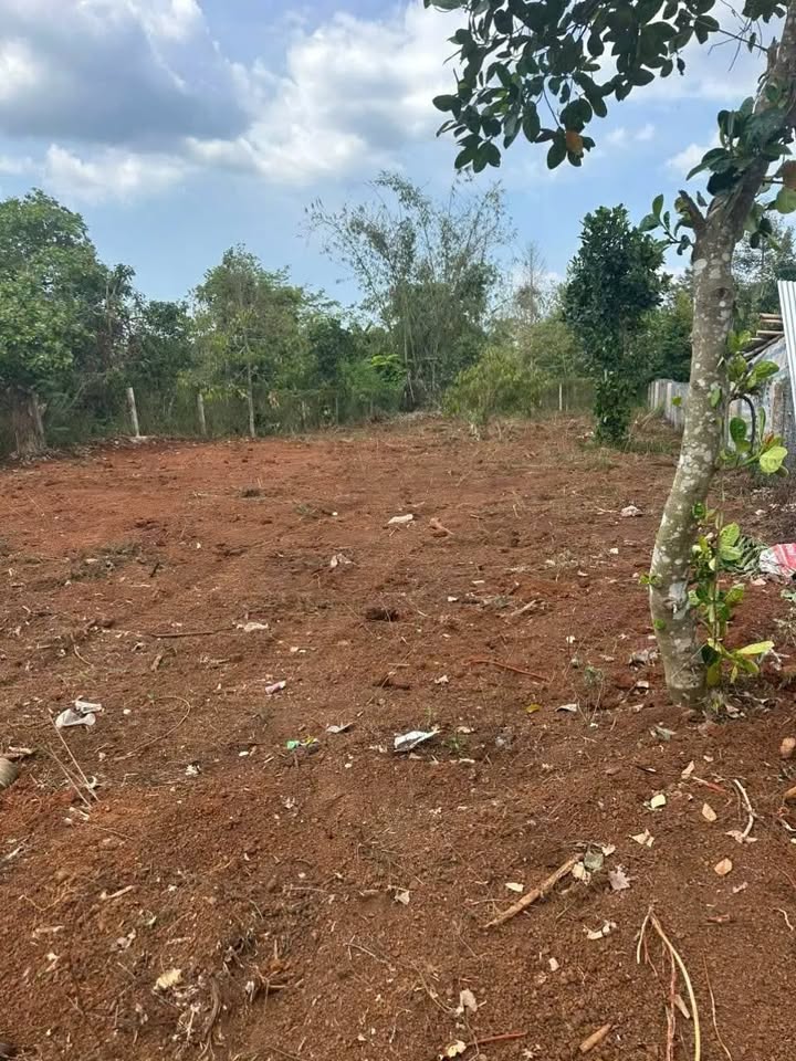 Đất nền Long Khánh, Đồng Nai 1000m² giá 3 tỷ - Đầu tư sinh lời hấp dẫn!