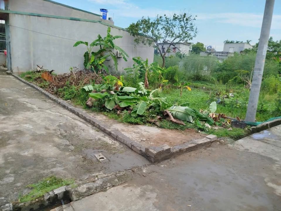 Đất lô góc Thanh Châu 75m² giá chỉ 1 tỷ - Cơ hội đầu tư tuyệt vời!