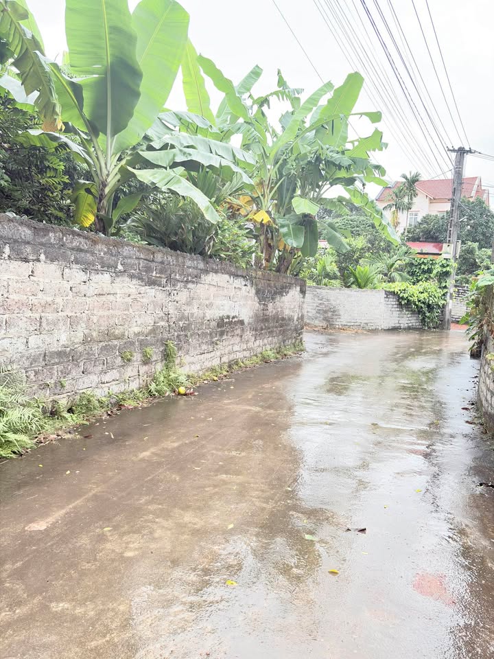 Đất nền Quang Thịnh, Lạng Giang 1200m² - Cơ hội đầu tư tuyệt vời!