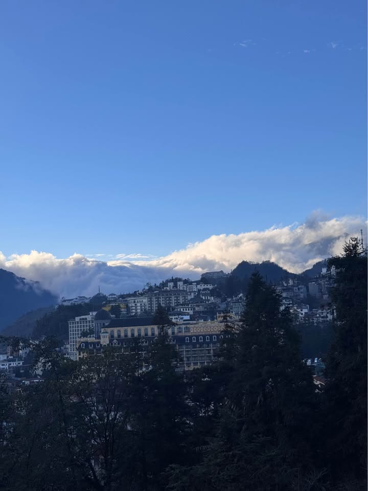 Đất mặt đường Violet Sa Pa 325m² giá 20 tỷ - View thung lũng Mường Hoa tuyệt đẹp!