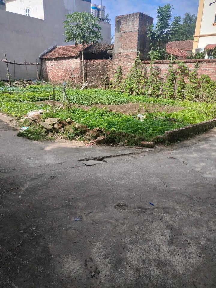 Đất nền Trà Lâm, Bắc Ninh 77m² - Lô góc nở hậu, pháp lý rõ ràng!