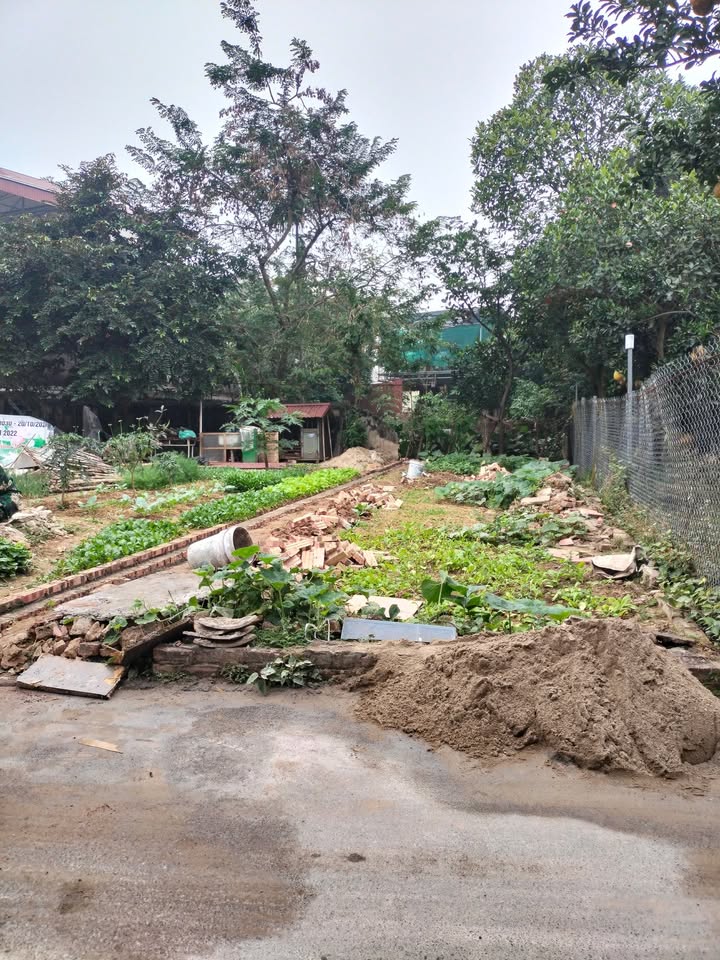 Đất nền Xuân Lê, Thuận Thành 60m² - Vị trí đắc địa, giá thỏa thuận!