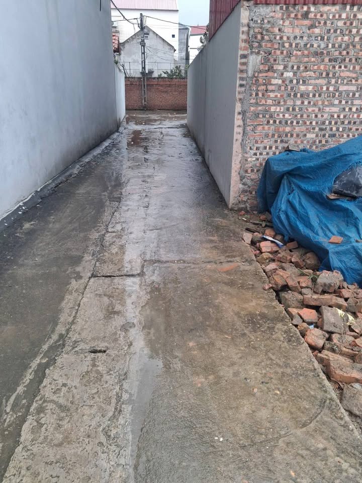 Đất Ninh Xá, Thuận Thành 60m² giá 1 tỷ - Đầu tư tiềm năng ngay gần KCN!