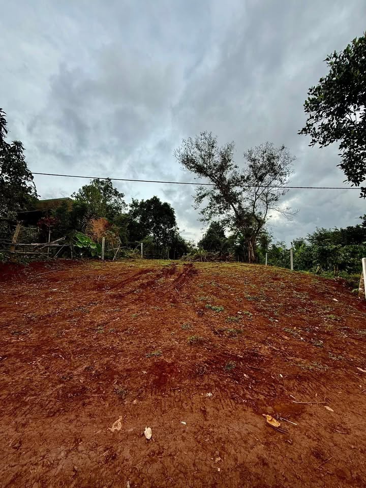 Đất nền 240m² phường An Lạc - Giá chỉ 2.376 tỷ, mặt tiền Đinh Núp!