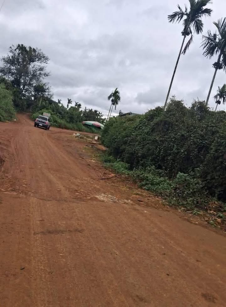 Đất nông nghiệp 720m² tại đường Bùi Xuân Phái, phường Thiện An - Giá chỉ 700 triệu!