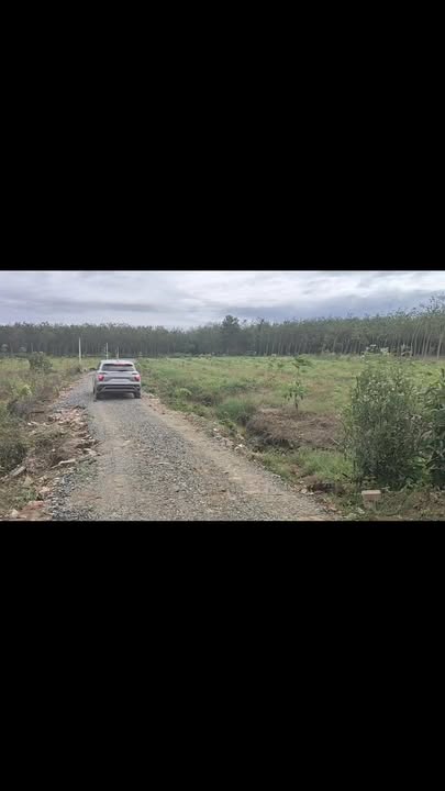 Đất nền Hảo Đước, Châu Thành, 1066m² chỉ 235 triệu - Sổ đỏ chính chủ!