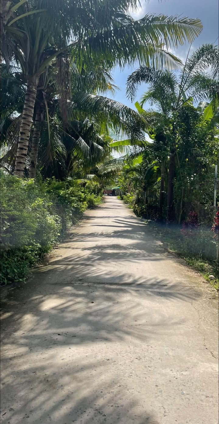 Đất nền Cần Thơ 300m² giá 1.65 tỷ - Sổ hồng chính chủ, lộ ô tô