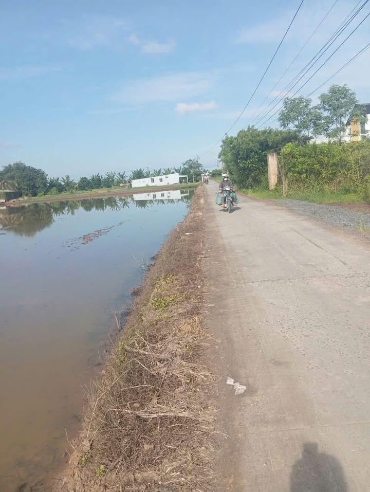 Đất nền bờ Rỗi Tân Điền 5600m² giá 800 triệu - Đầu tư sinh lời ngay!