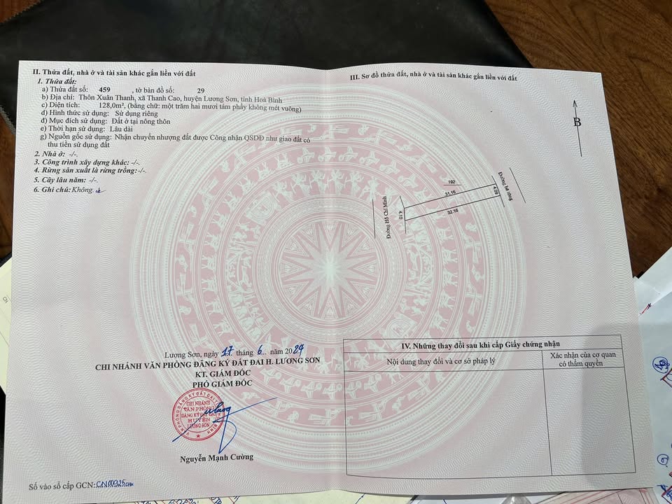 Đất nền mặt đường Hồ Chí Minh 125m² giá mềm - Đầu tư sinh lời ngay!