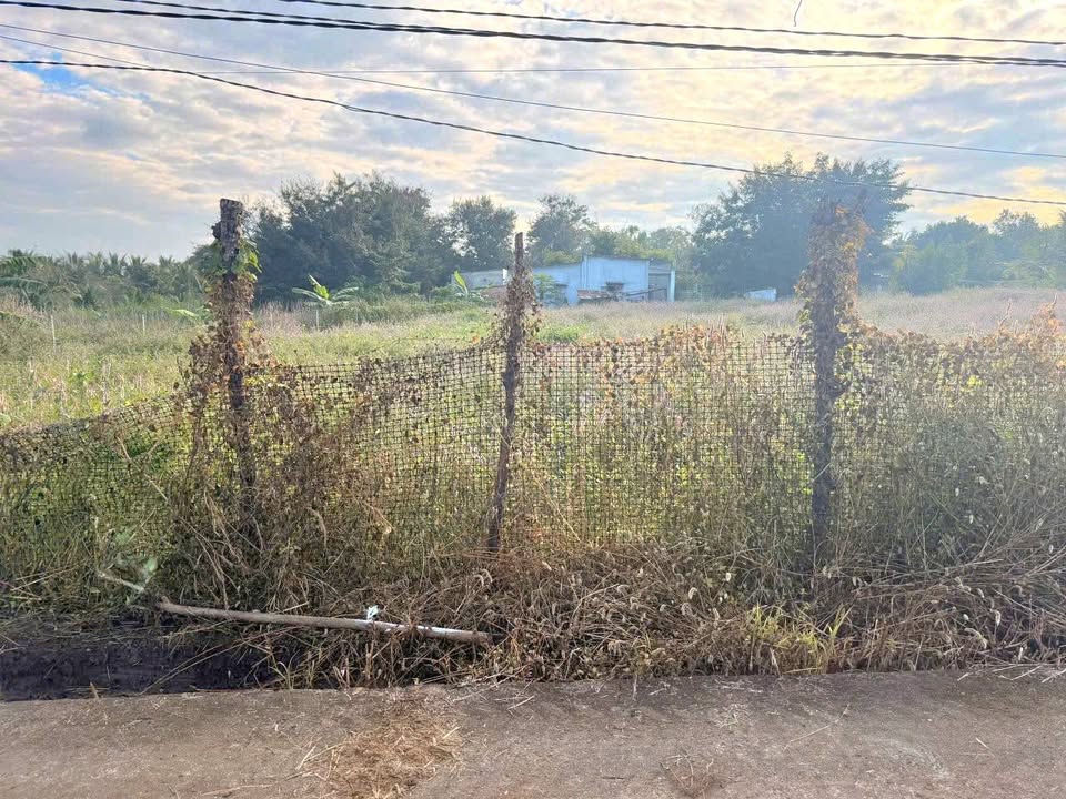 Đất thổ cư Cư Êbur 162m² giá chỉ 765 triệu - Cơ hội đầu tư tuyệt vời!