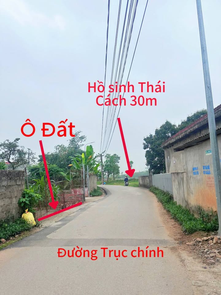 Đất thổ cư 96m² tại thôn Hương Ngọc, Bình Xuyên - Giá chỉ 1 tỷ