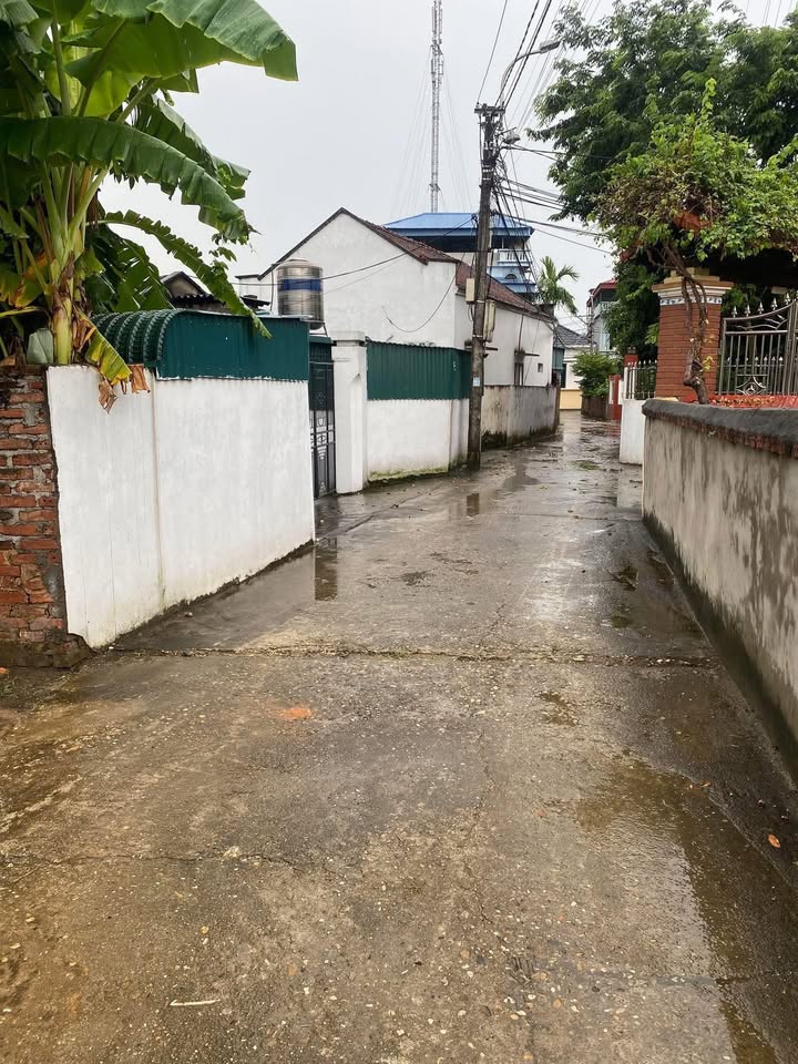 Đất nền Sơn Đông, Lập Thạch 320m² giá chỉ 2 tỷ - Cơ hội đầu tư tuyệt vời!