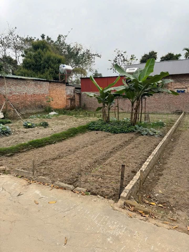 Đất nền Đạo Tú, Tam Dương 93m² giá 1.3 tỷ - Cơ hội kinh doanh tuyệt vời!