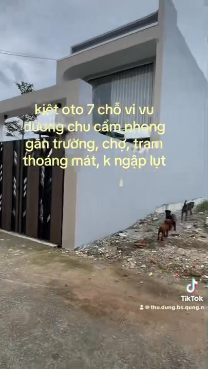 Đất nền đường Chu Cẩm Phong, An Sơn 100m² giá 1.3 tỷ - Tiềm năng phát triển vượt trội!