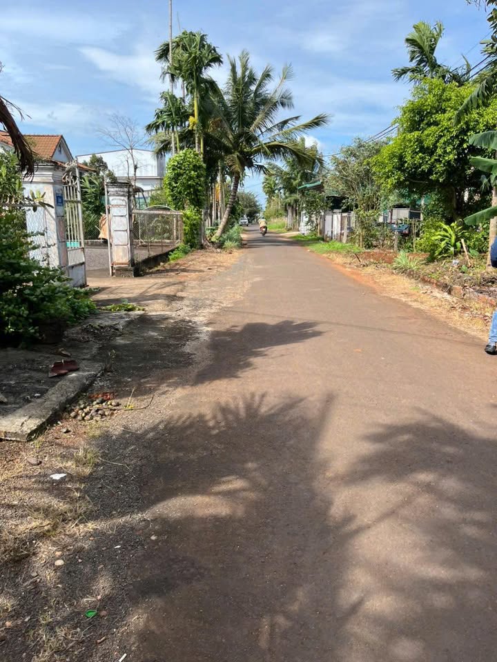 Đất nền Tân An, Buôn Ma Thuột 5452m² giá 1.8 tỷ - Hướng Nam, mặt tiền đường nhựa