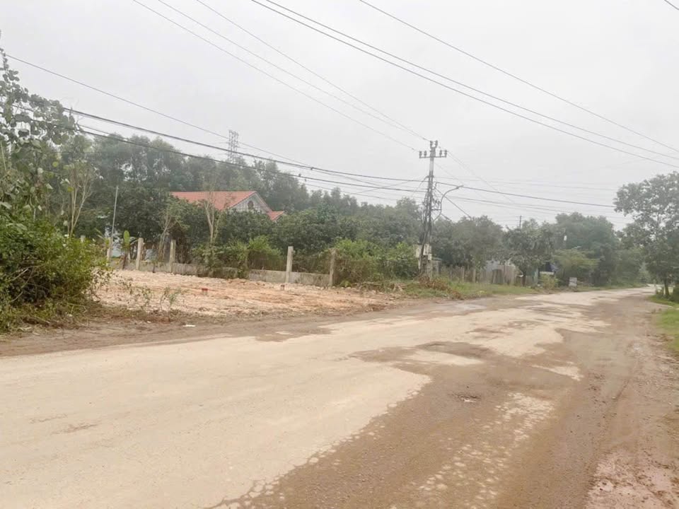 Đất nền liền kề mặt tiền Nam Cao, Phú Bài, 146m² giá 1.75 tỷ - Đầu tư sinh lời ngay!