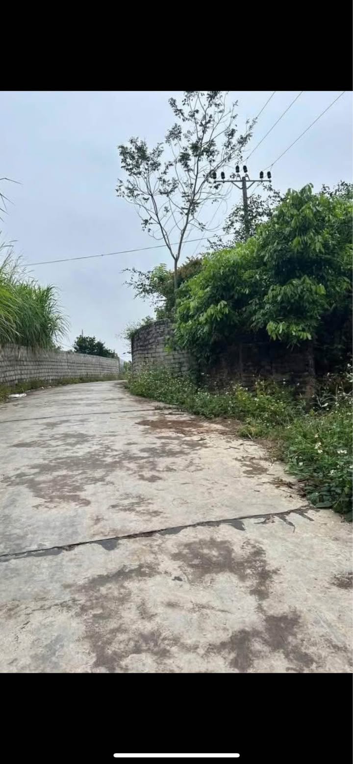 Bán vườn 3055m² tại xã Kiên Lao, Lục Ngạn - Giá chỉ 1.7 tỷ!