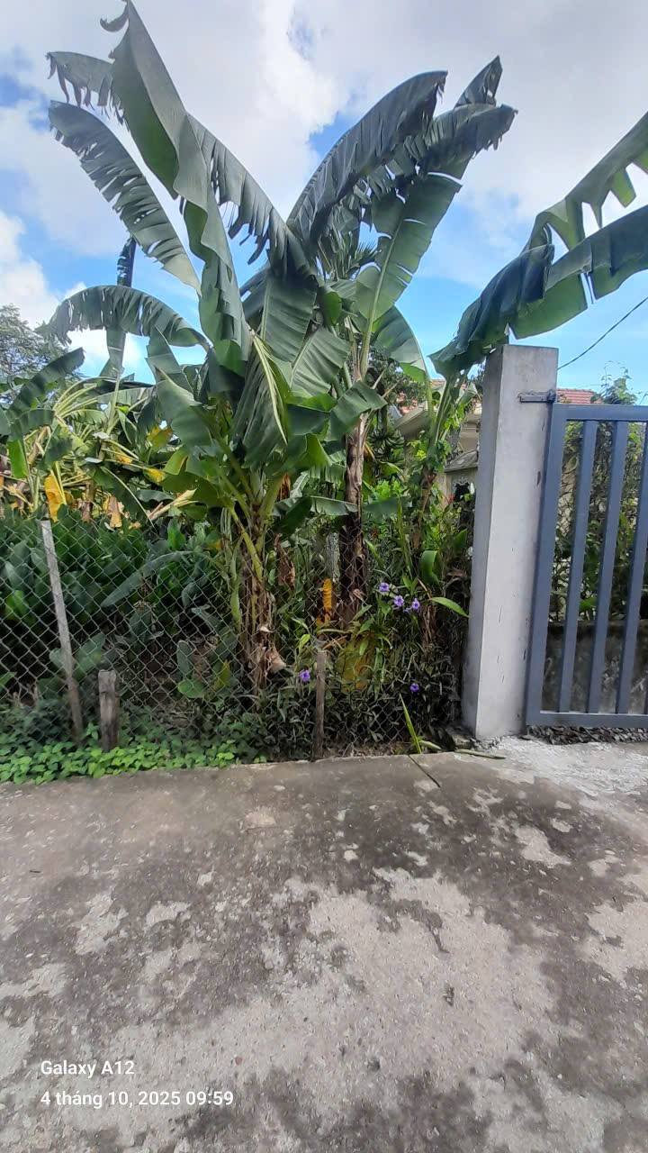 Đất kiệt ô tô Nguyễn Cửu Vân 98,4m² - Vị trí đẹp, giá thương lượng!