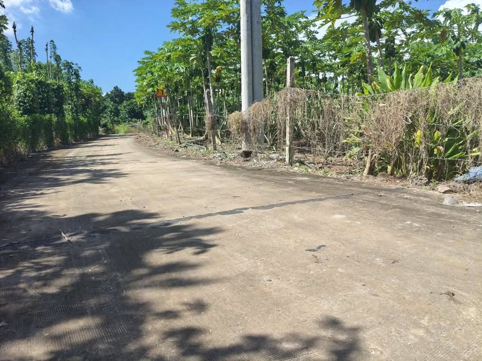 Đất nền Xuân Sơn, Châu Đức 192m² chỉ 399 triệu - Đầu tư sinh lời ngay!