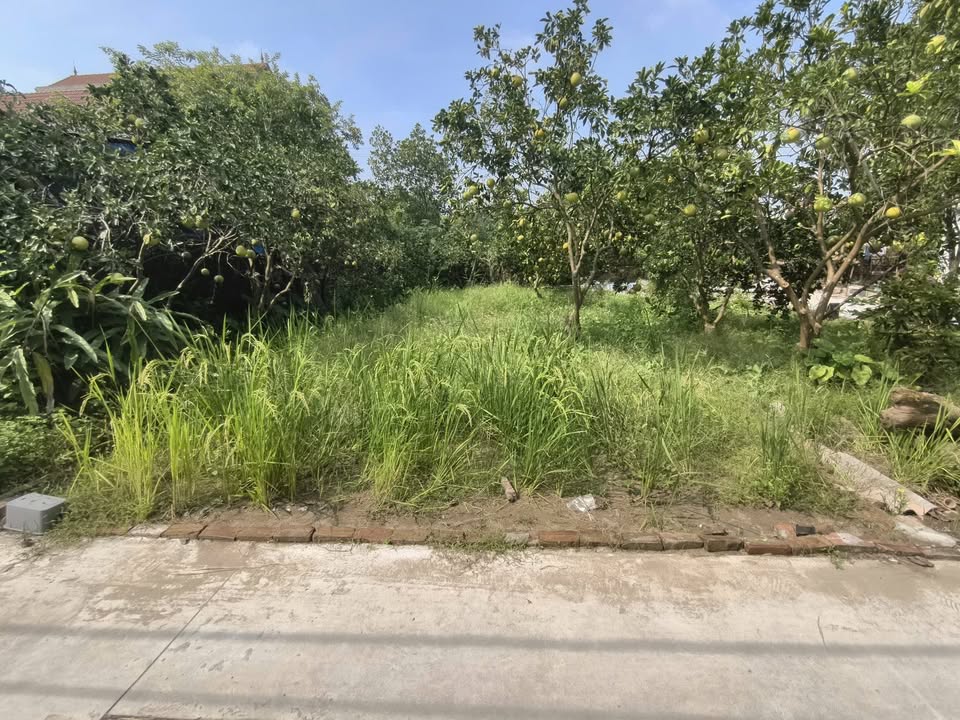 Đất nền Vĩnh Ninh, Phú Xuyên 92m² giá 2.15 tỷ - Đường thông ô tô, dân cư đông đúc!