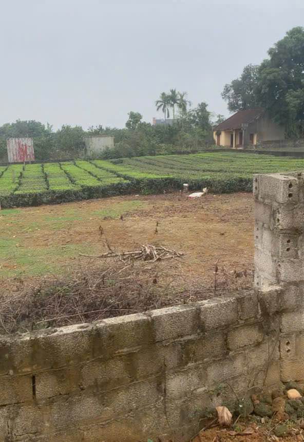 Đất nghỉ dưỡng Ba Vì 722m² giá thỏa thuận - Sổ đỏ chính chủ đẹp