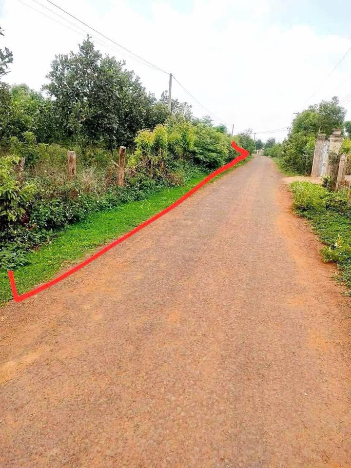 Đất nền xã Bờ Ngoong, Chư Sê, Gia Lai 643m² giá 439 triệu - Cơ hội đầu tư tuyệt vời!