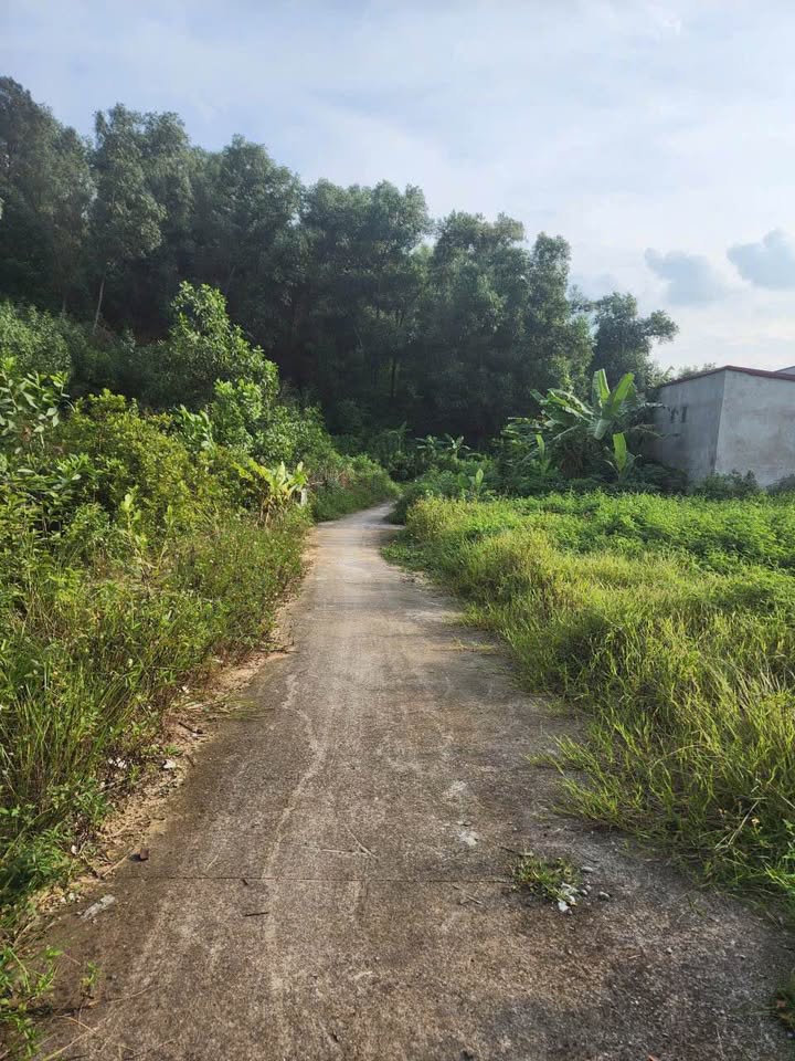 Bán lô đất Nam Sơn, Bắc Ninh 81m² chỉ 1.x tỷ - Đầu tư sinh lời ngay!