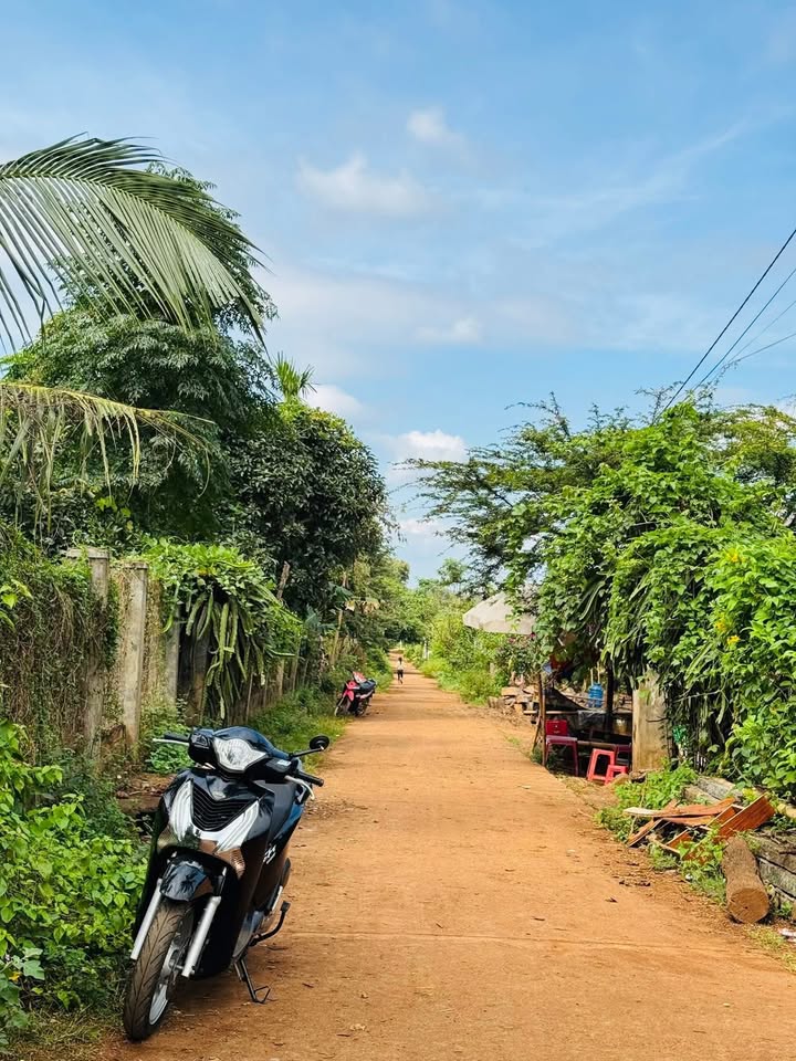 Đất nền liền kề Buôn Kana B 132m² giá 650 triệu - Đầu tư sinh lời hấp dẫn!