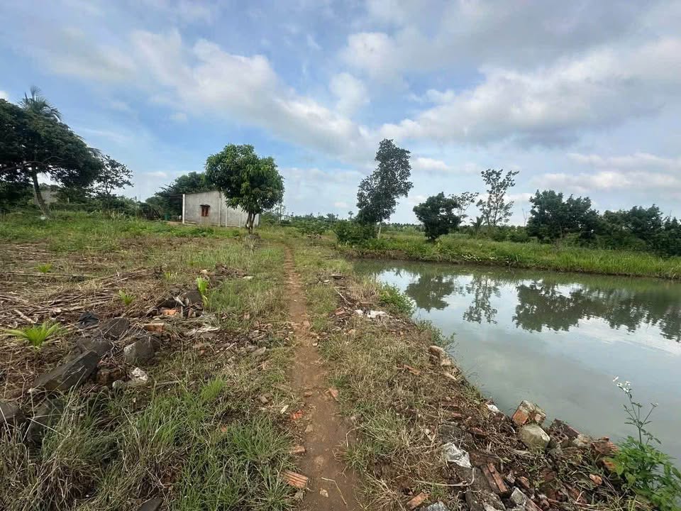 Đất nông nghiệp Ea Kao 5200m² giá 4.65 tỷ - View nhà vườn tuyệt đẹp!