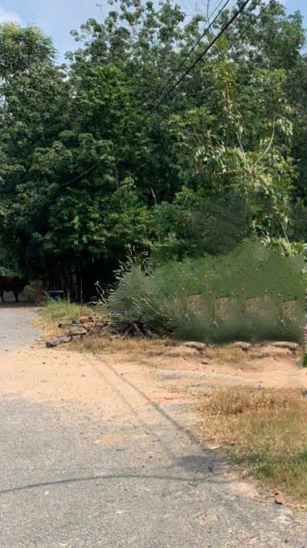 Đất nền Phú Mỹ Hưng Củ Chi 1711m² giá 6.5 tỷ - Vị trí mặt tiền đẹp