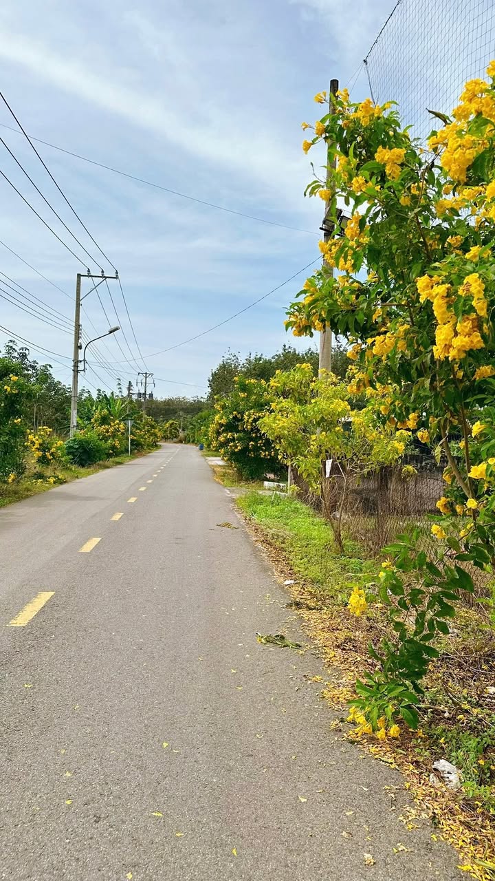 Đất nền Long Nguyên, Bàu Bàng 250m² giá 1 tỷ - Đầu tư sinh lời ngay!