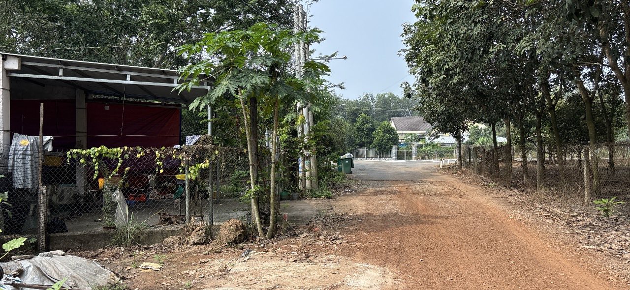 Đất Tân Hiệp, Phú Giáo 208m² giá 600 triệu - Sổ đỏ chính chủ