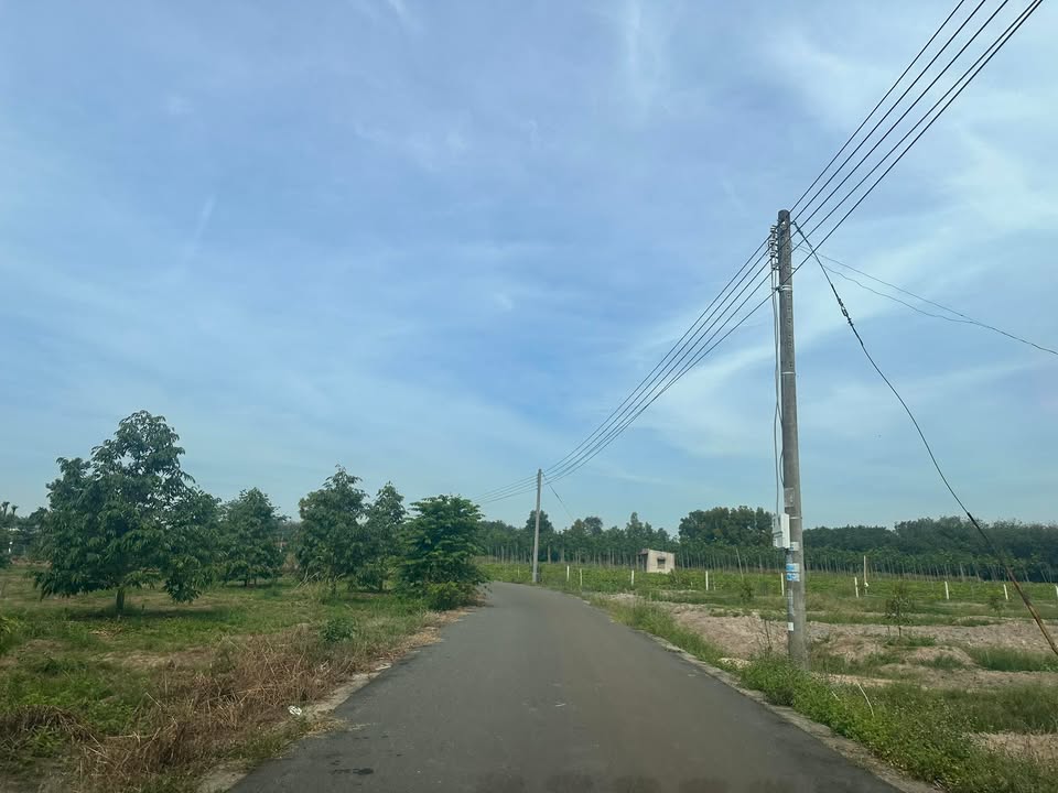 Đất thổ cư Minh Thạnh, Dầu Tiếng 500m² giá chỉ 800 triệu - Cơ hội đầu tư hiếm có!