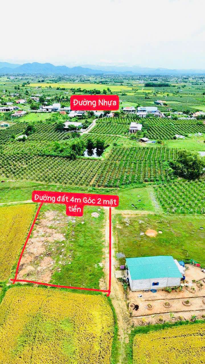 Đất thổ cư 1500m² tại Hàm Liêm, Bình Thuận - Giá chỉ 569 triệu, pháp lý rõ ràng!