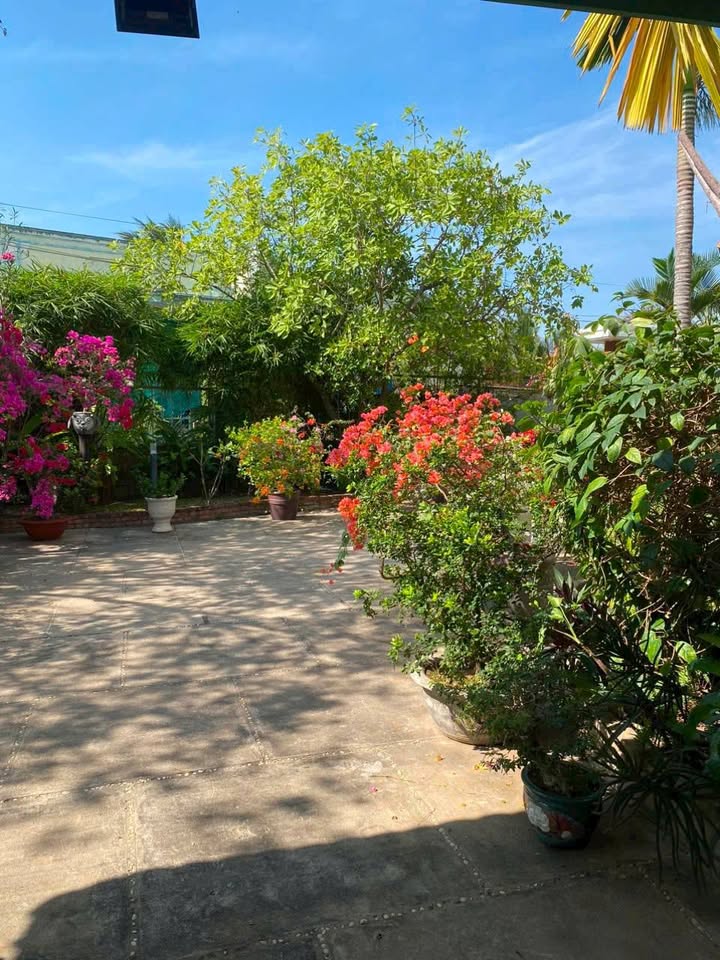 Biệt thự nhà vườn Hàm Liêm - 2000m² chỉ 8 tỷ - Thiết kế hiện đại sang trọng!