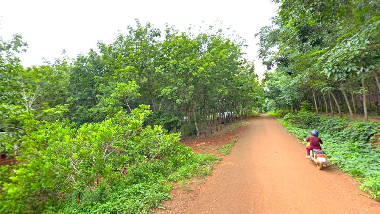 Đất vườn Tân Hưng, Hớn Quản 1.225m² giá 490 triệu - Sổ hồng chính chủ, đầu tư sinh lời!