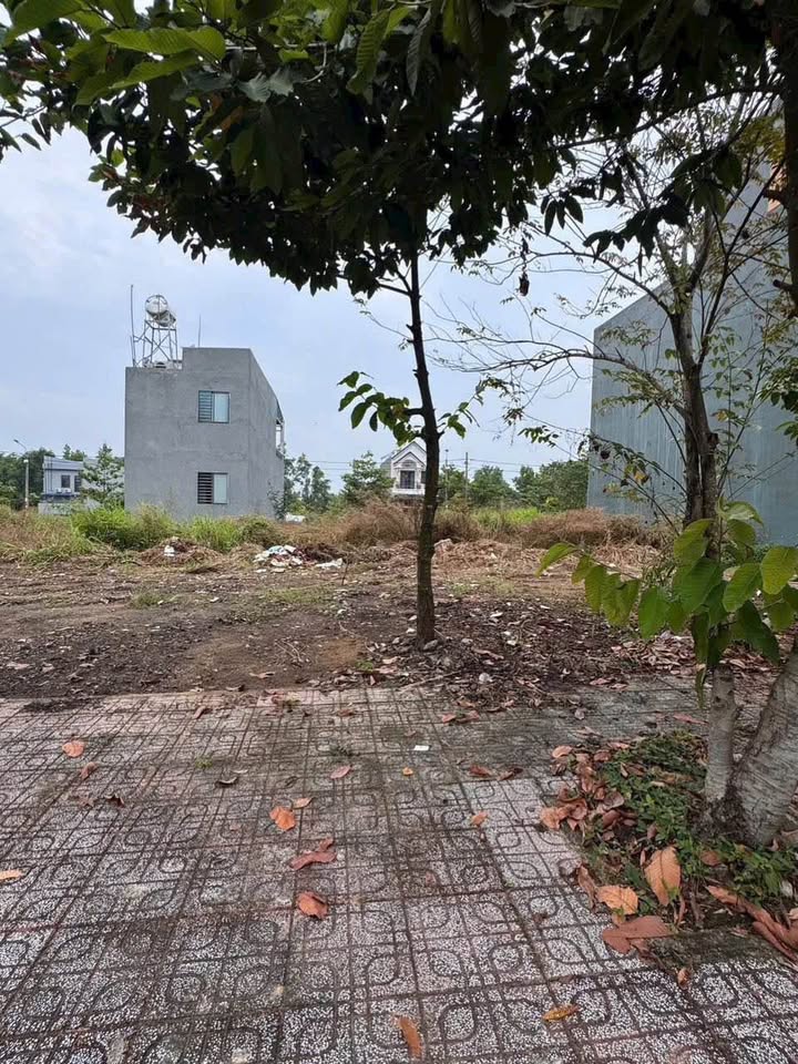 Đất nền KDC An Phú Hưng Trảng Bom 100m² giá 1.6 tỷ - Đối diện biệt thự đẹp!