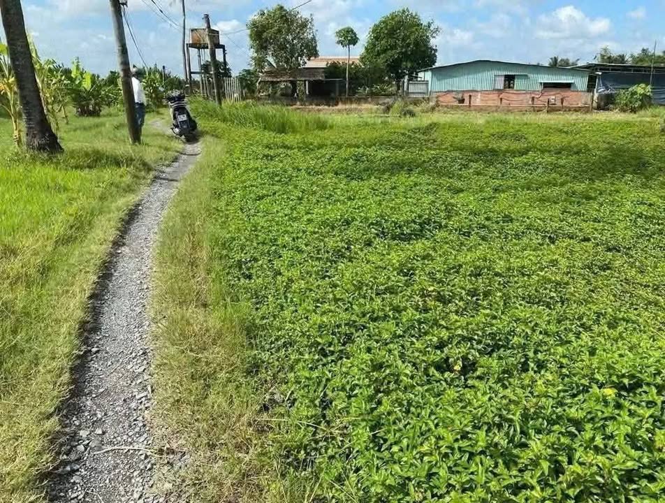 Đất thổ cư 430m² Phước Tân Hưng, Châu Thành, Long An - Giá chỉ 430 triệu!