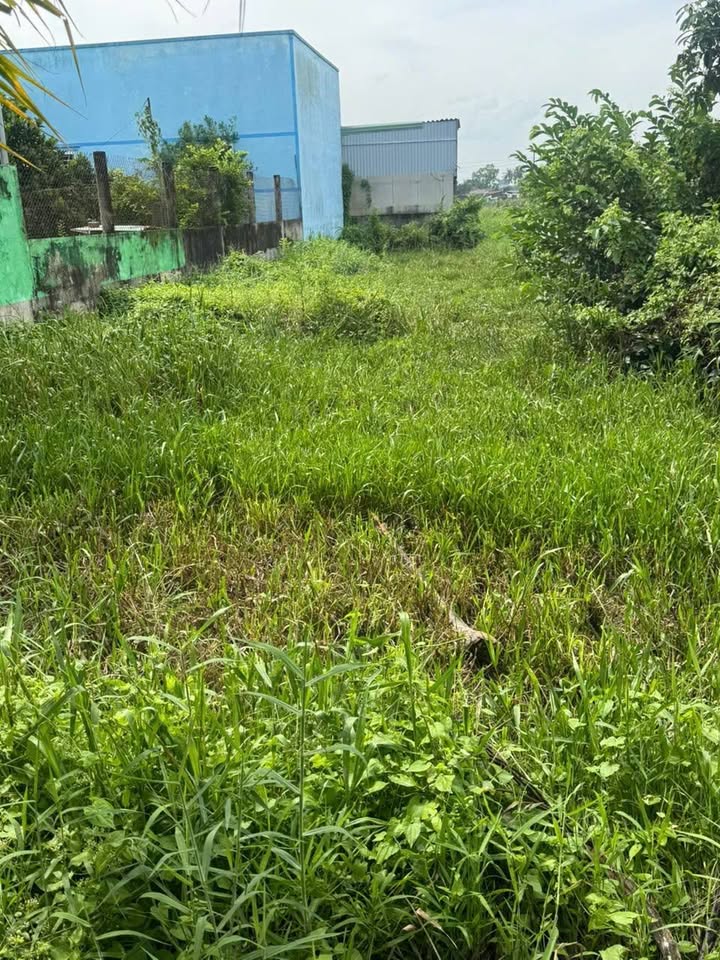 Đất nền 261m² tại phường 7, TP Tân An chỉ 450 triệu - Cơ hội đầu tư hấp dẫn!