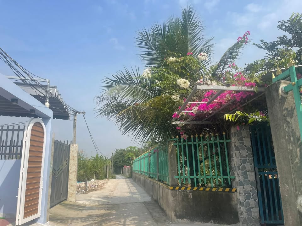 Nhà cấp 4 ấp Long Khánh, Cần Giuộc, 123m² giá 1.8 tỷ - Thiết kế thoáng mát, xe hơi vào tận nhà!