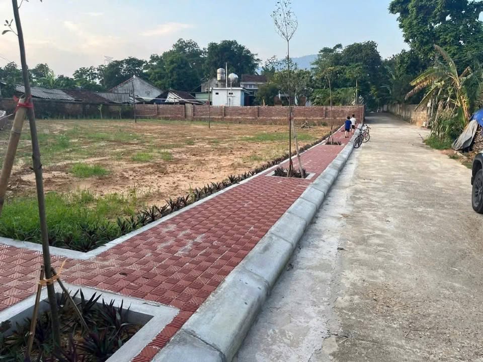 Đất nền Tam Sơn, Cẩm Khê 131m² giá chỉ 500 triệu - Cơ hội đầu tư tuyệt vời!