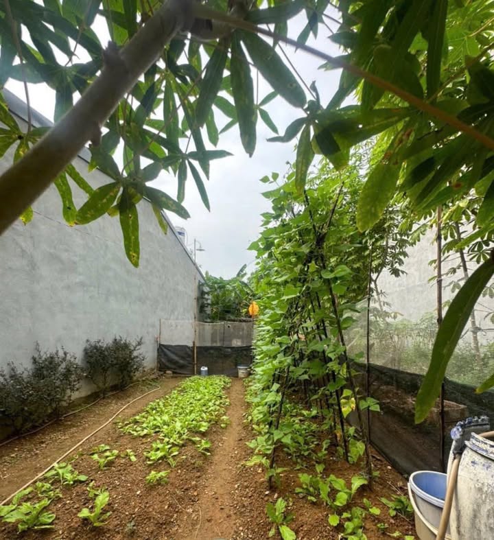 Đất nền Minh Phương, Việt Trì 78m² giá 1.6 tỷ - Cơ hội đầu tư tuyệt vời!