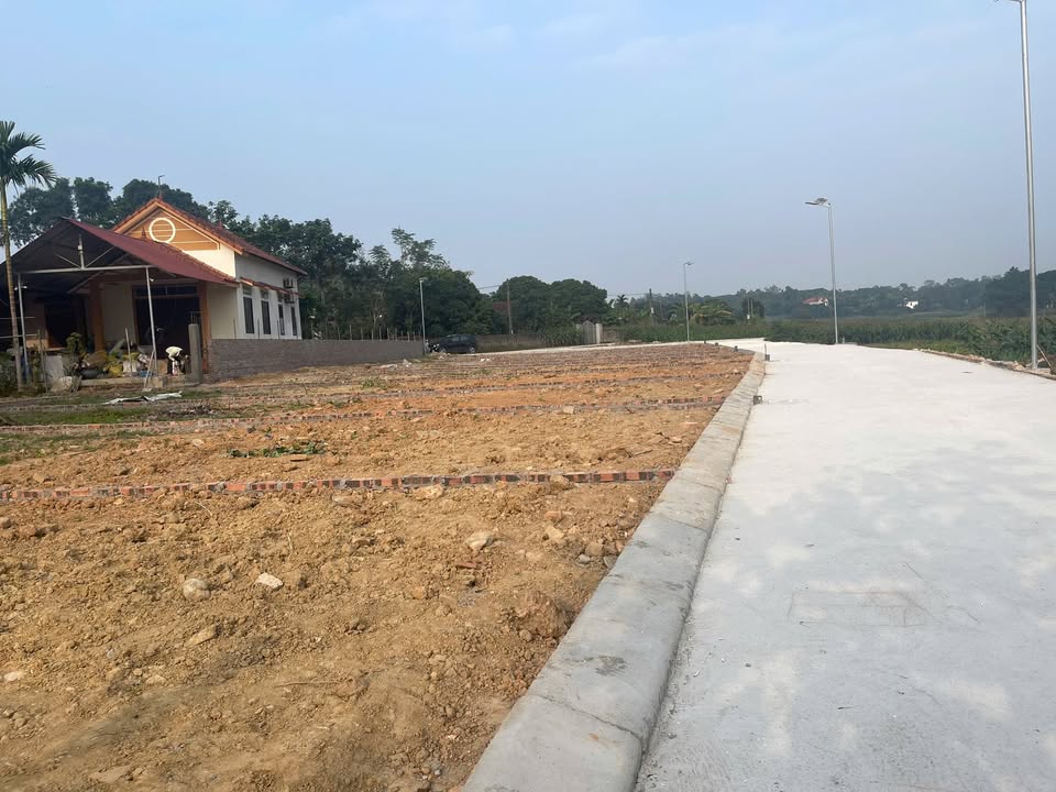 Đất nền Tử Du, Lập Thạch 100m² - Cơ hội đầu tư hấp dẫn!